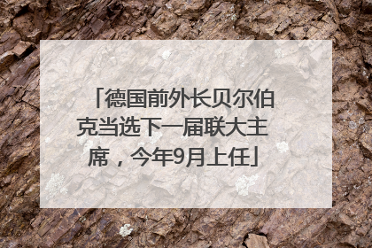 德国前外长贝尔伯克当选下一届联大主席，今年9月上任