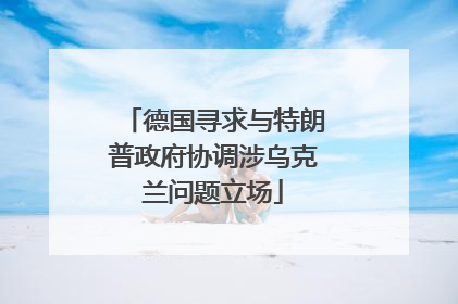德国寻求与特朗普政府协调涉乌克兰问题立场