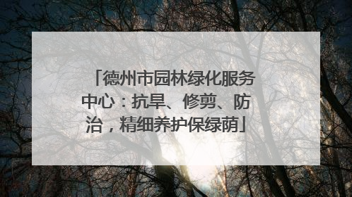 德州市园林绿化服务中心：抗旱、修剪、防治，精细养护保绿荫