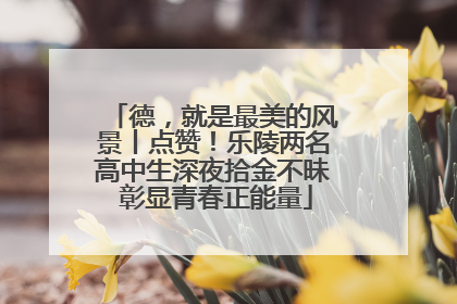 德，就是最美的风景丨点赞！乐陵两名高中生深夜拾金不昧 彰显青春正能量