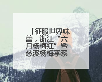 征服世界味蕾，浙江“六月杨梅红”暨慈溪杨梅季系列活动启动