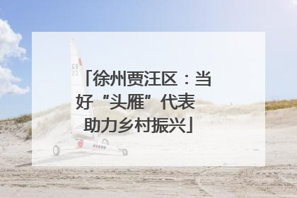 徐州贾汪区：当好“头雁”代表 助力乡村振兴