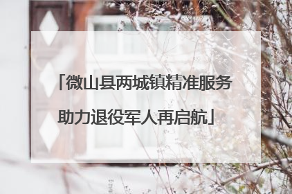 微山县两城镇精准服务助力退役军人再启航