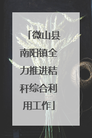 微山县南阳镇全力推进秸秆综合利用工作
