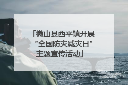 微山县西平镇开展“全国防灾减灾日”主题宣传活动