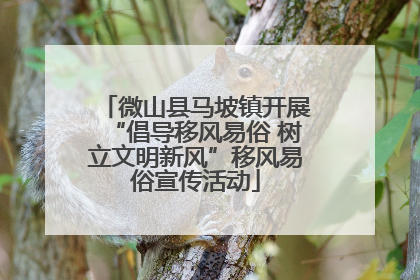 微山县马坡镇开展“倡导移风易俗 树立文明新风”移风易俗宣传活动