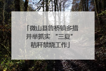 微山县鲁桥镇多措并举抓实 “三夏” 秸秆禁烧工作