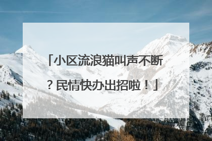 小区流浪猫叫声不断？民情快办出招啦！