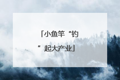 小鱼竿“钓”起大产业