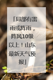 局部有雷雨或阵雨，阵风10级以上！山东最新天气预报