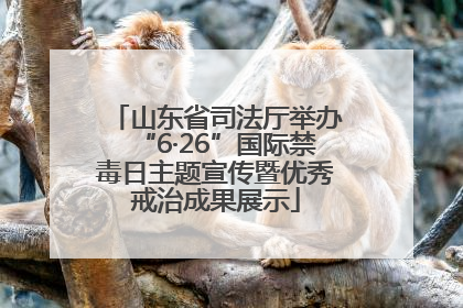 山东省司法厅举办“6·26”国际禁毒日主题宣传暨优秀戒治成果展示