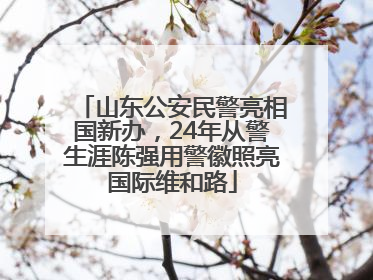 山东公安民警亮相国新办，24年从警生涯陈强用警徽照亮国际维和路