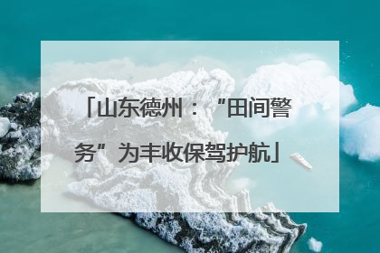 山东德州：“田间警务”为丰收保驾护航