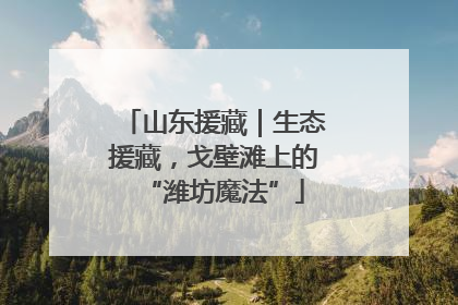 山东援藏｜生态援藏，戈壁滩上的“潍坊魔法”
