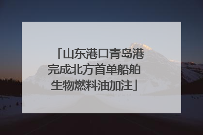 山东港口青岛港完成北方首单船舶生物燃料油加注