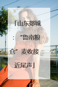 山东郯城：“鲁南粮仓”麦收接近尾声