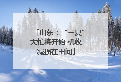 山东：“三夏”大忙将开始 机收减损在田间