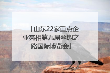 山东22家重点企业亮相第九届丝绸之路国际博览会