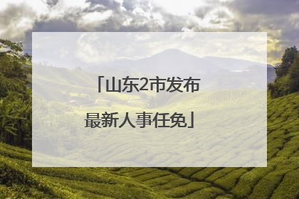 山东2市发布最新人事任免