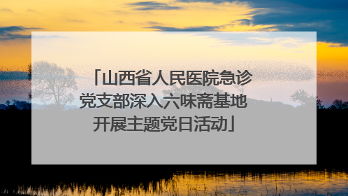 山西省人民医院急诊党支部深入六味斋基地开展主题党日活动