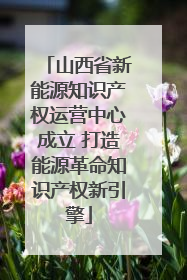 山西省新能源知识产权运营中心成立 打造能源革命知识产权新引擎