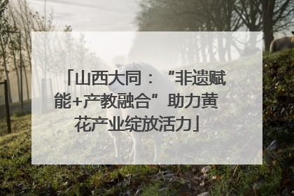 山西大同：“非遗赋能+产教融合”助力黄花产业绽放活力