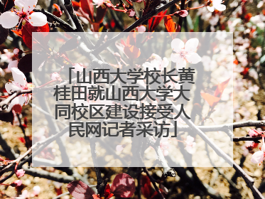 山西大学校长黄桂田就山西大学大同校区建设接受人民网记者采访