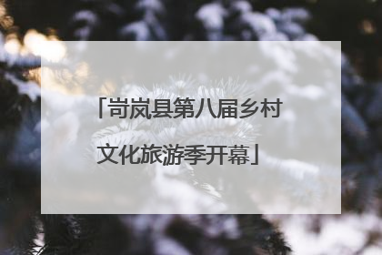 岢岚县第八届乡村文化旅游季开幕