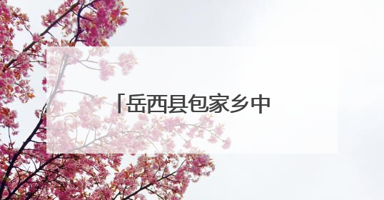 岳西县包家乡中心幼儿园成功举办县学前教育教研联系片第一片区第十三次专题研讨会