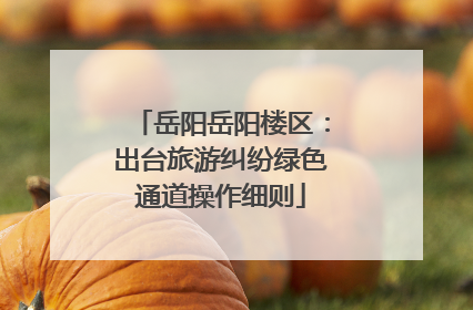 岳阳岳阳楼区：出台旅游纠纷绿色通道操作细则