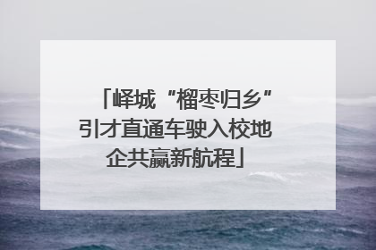 峄城“榴枣归乡”引才直通车驶入校地企共赢新航程