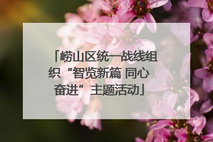 崂山区统一战线组织“智览新篇 同心奋进”主题活动