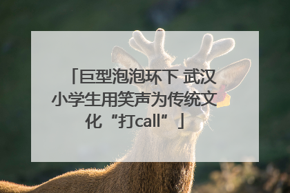巨型泡泡环下 武汉小学生用笑声为传统文化“打call”