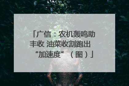 广信：农机轰鸣助丰收 油菜收割跑出“加速度”（图）