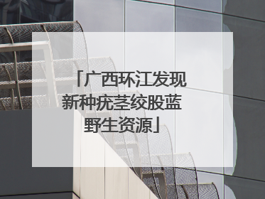 广西环江发现新种疣茎绞股蓝野生资源