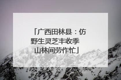 广西田林县：仿野生灵芝丰收季 山林间劳作忙