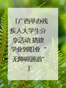 广西举办残疾人大学生分享活动 搭建学业到职业“无障碍通道”