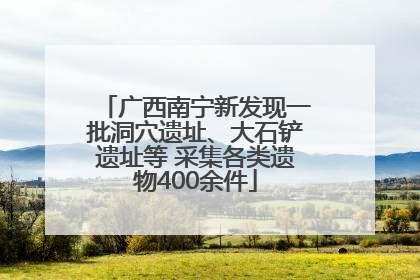 广西南宁新发现一批洞穴遗址、大石铲遗址等 采集各类遗物400余件