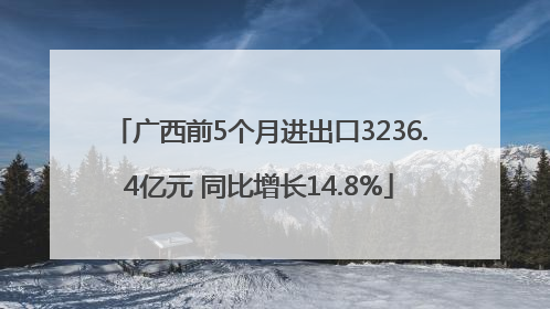 广西前5个月进出口3236.4亿元 同比增长14.8%