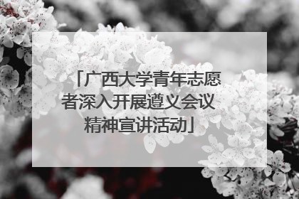 广西大学青年志愿者深入开展遵义会议精神宣讲活动