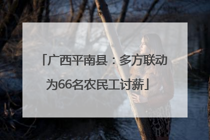 广西平南县：多方联动为66名农民工讨薪