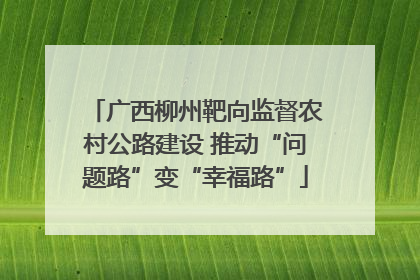 广西柳州靶向监督农村公路建设 推动“问题路”变“幸福路”