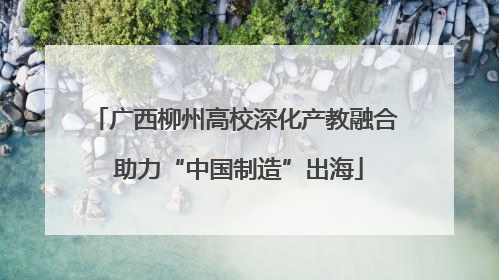 广西柳州高校深化产教融合 助力“中国制造”出海