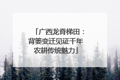 广西龙脊梯田：背篓变迁见证千年农耕传统魅力