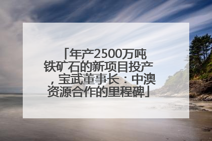 年产2500万吨铁矿石的新项目投产，宝武董事长：中澳资源合作的里程碑