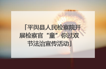 平舆县人民检察院开展检察官“童”你过双节法治宣传活动