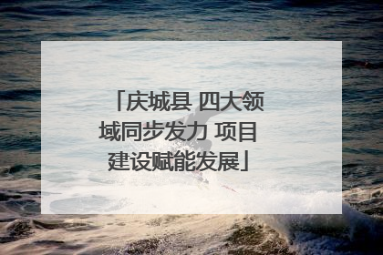 庆城县 四大领域同步发力 项目建设赋能发展