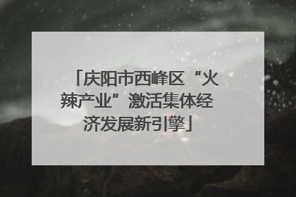 庆阳市西峰区“火辣产业”激活集体经济发展新引擎