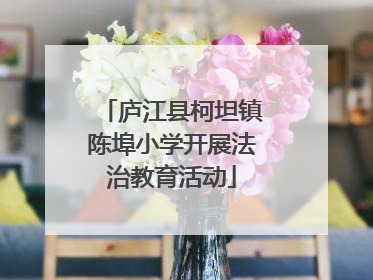 庐江县柯坦镇陈埠小学开展法治教育活动