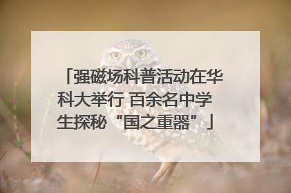强磁场科普活动在华科大举行 百余名中学生探秘“国之重器”